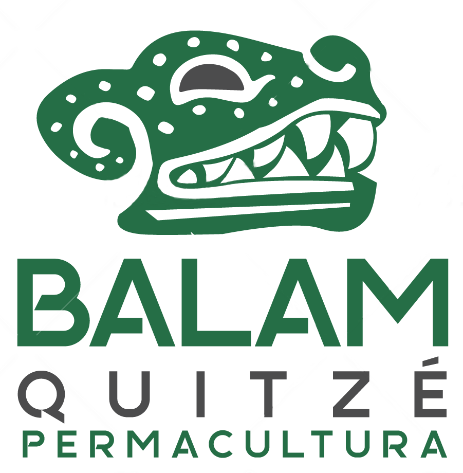 Balám Quitzé permacultura en Uruguay